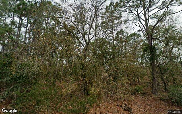 Street view of 13449 Sulky Dr